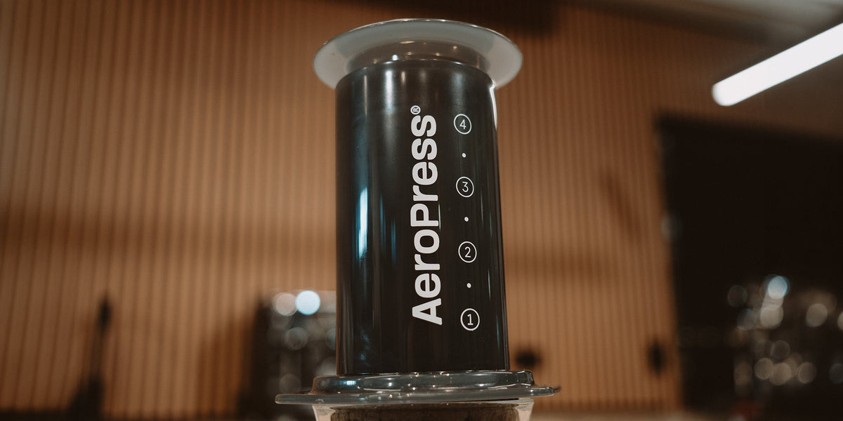 AeroPress 101: Why It's the Most Versatile Brewer Around