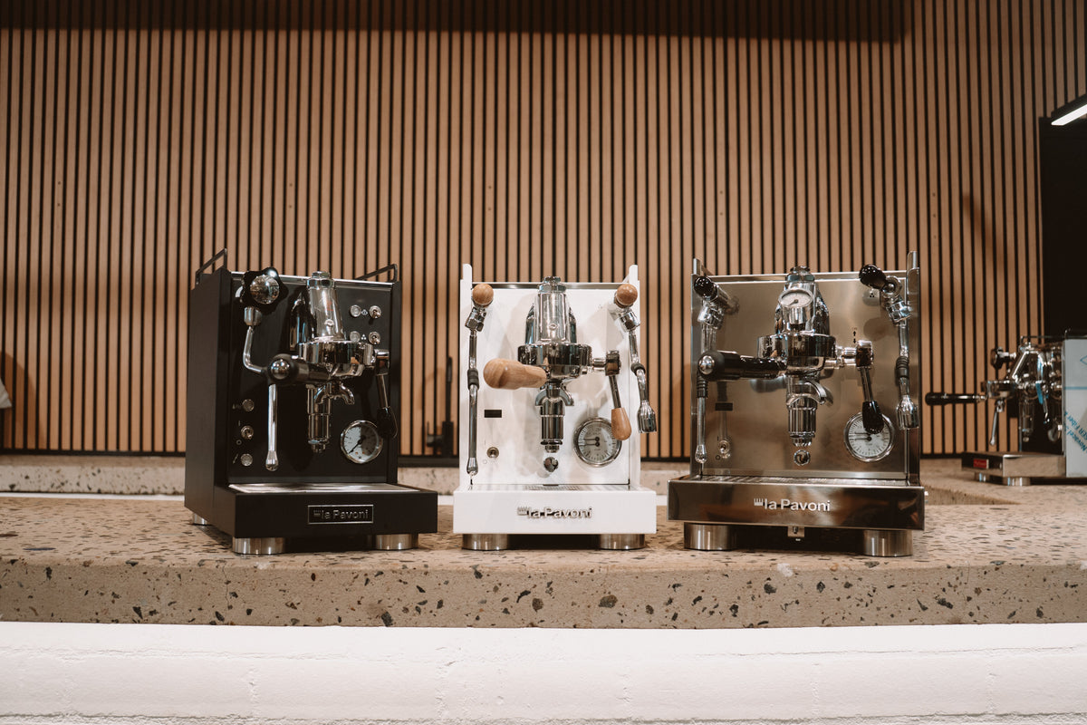 Mini Cellini vs Mini Cellini X vs Cellini Evoluzione PID: Finding Your Match