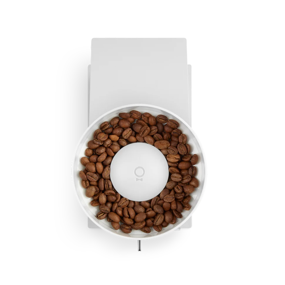 Fellow Opus Conical Burr Grinder